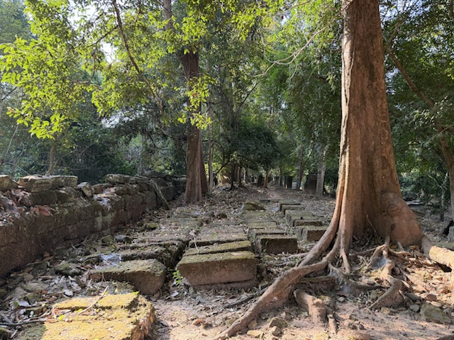 2026-01-30_09-01-51_Randy_5378