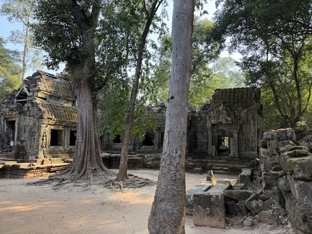 2026-01-30_09-04-39_Randy_5386