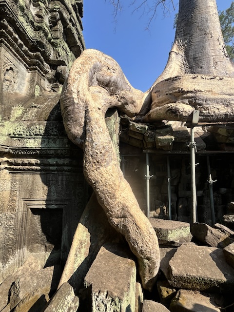 2026-01-30_09-21-34_Valerie_6676