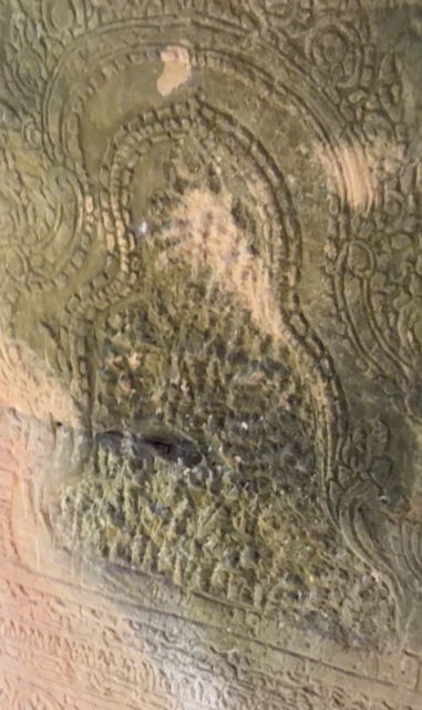 2026-01-30_09-30-13_Sharon_3251b