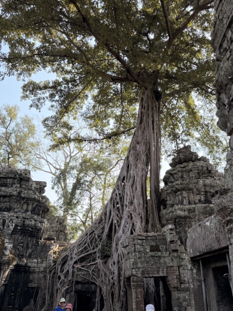 2026-01-30_09-35-27_Sharon_3267