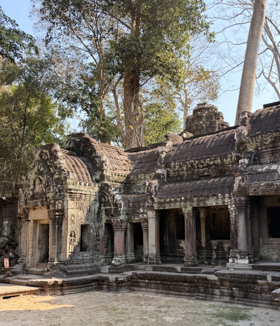 2026-01-30_09-53-26_Sharon_3316