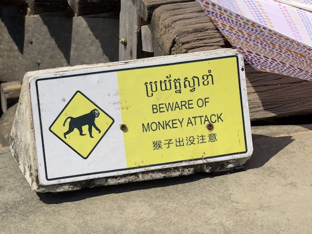 2026-01-30_12-17-43_Randy_5790