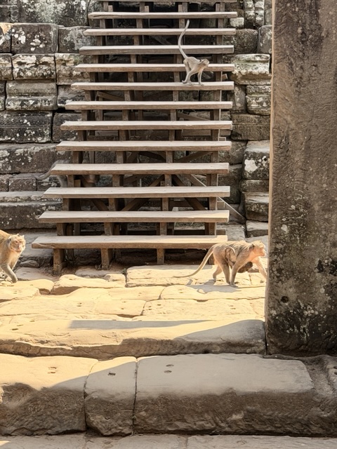 2026-01-30_14-29-53_Sharon_3789