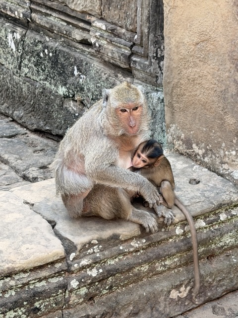 2026-01-30_14-29-58_Sharon_3790