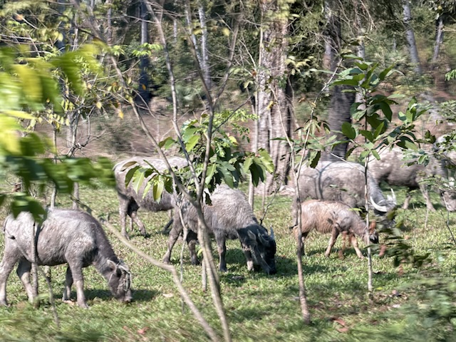 2026-01-30_14-58-48_Randy_5954