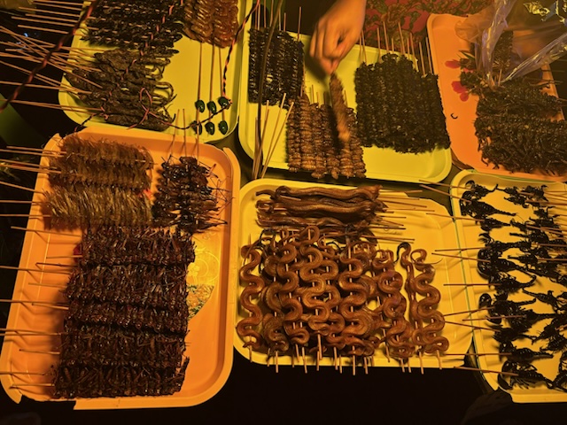 2026-01-30_20-24-27_Kelly_4339