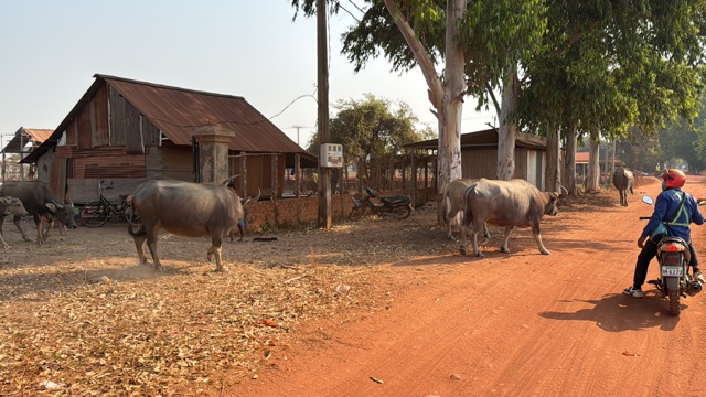 2026-01-31_09-26-35_Sharon_3874