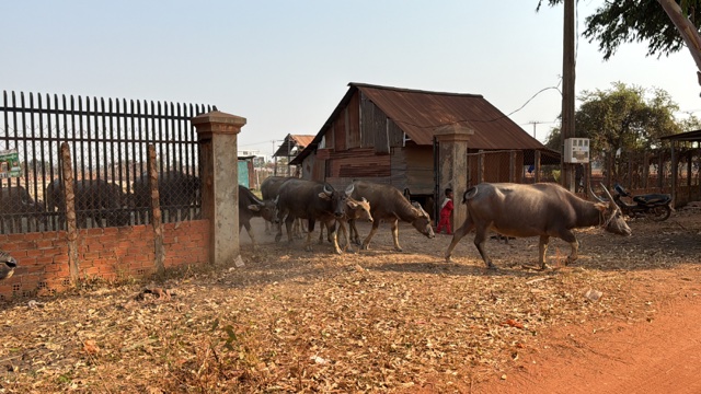 2026-01-31_09-26-39_Sharon_3875