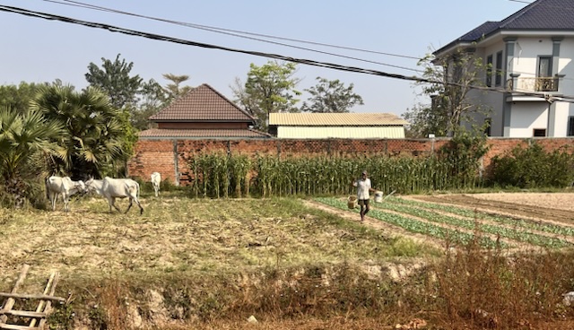 2026-01-31_09-40-33_Valerie_E6938