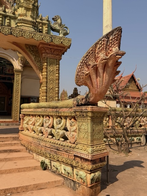 2026-01-31_10-18-06_Sharon_3911