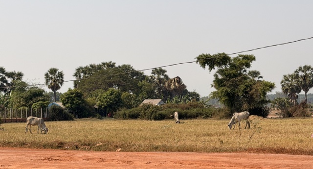 2026-01-31_10-50-54_Sharon_3943