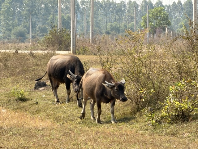 2026-01-31_10-54-38_Sharon_3945