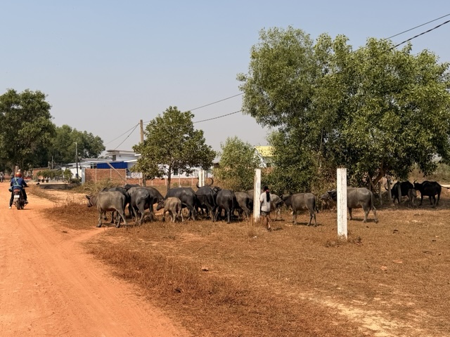 2026-01-31_11-00-36_Sharon_E3950