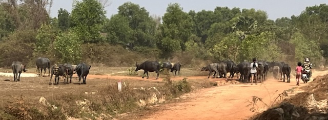 2026-01-31_11-01-39_Valerie_E7031