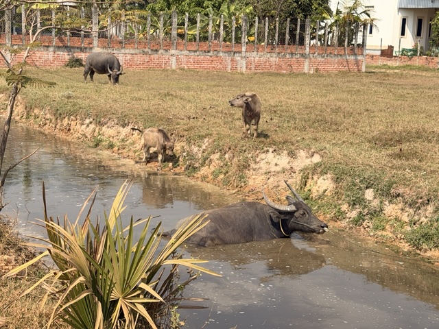 2026-01-31_11-15-50_Sharon_3962