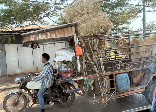 2026-01-31_14-29-38_Randy_6030b