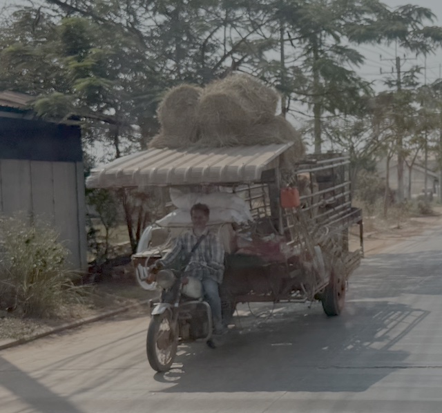 2026-01-31_14-29-39_Randy_6032