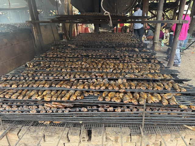 2026-01-31_16-13-21_Randy_6059