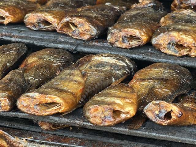 2026-01-31_16-13-27_Randy_6060