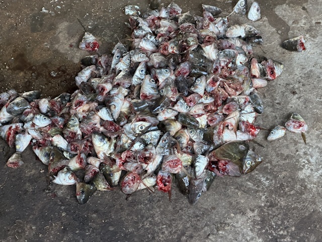 2026-01-31_16-14-58_Randy_6062