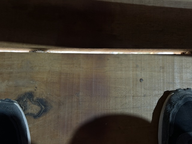 2026-01-31_16-44-02_Randy_6090