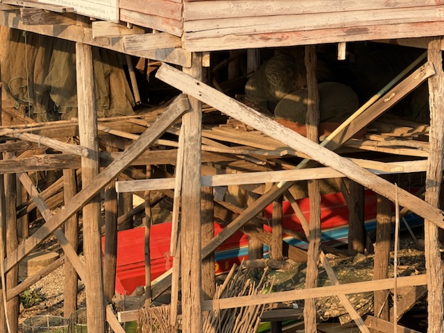 2026-01-31_16-52-52_Randy_6102