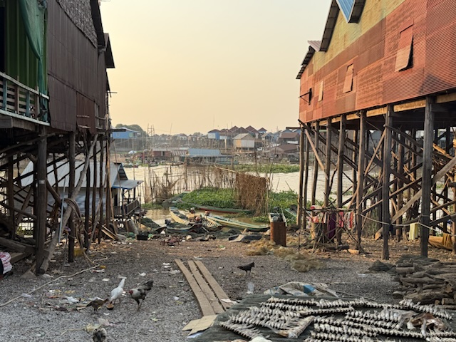 2026-01-31_17-10-46_Randy_6119