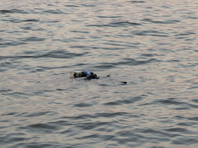 2026-01-31_17-57-21_Randy_6266