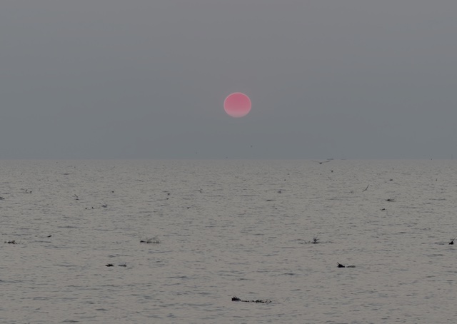 2026-01-31_17-57-31_Randy_6268