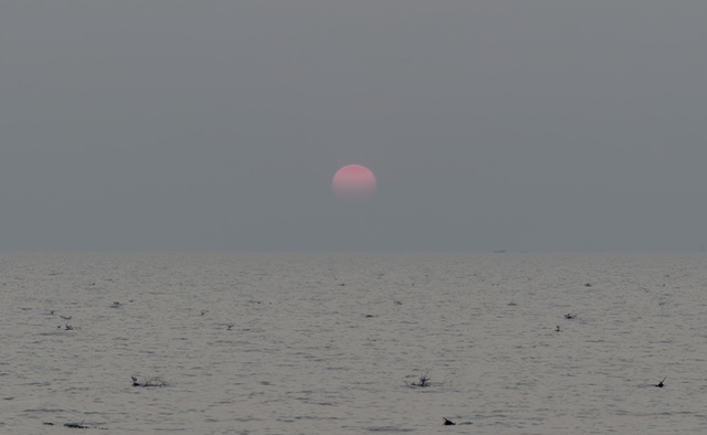 2026-01-31_17-58-50_Randy_6271