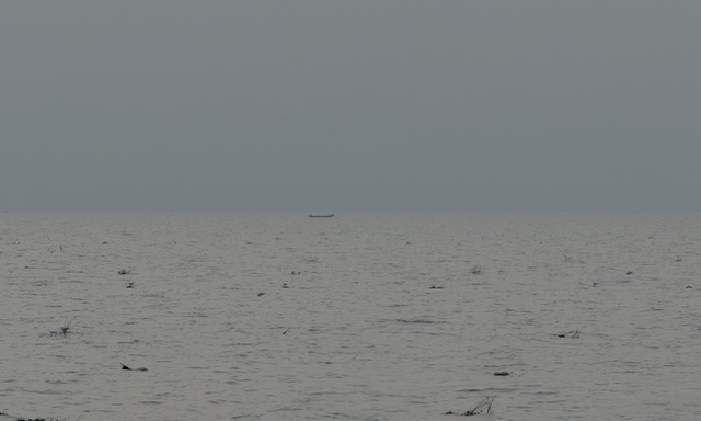 2026-01-31_18-00-38_Randy_6273