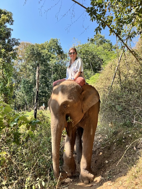 2026-01-24_11-29-48_Devo_7803