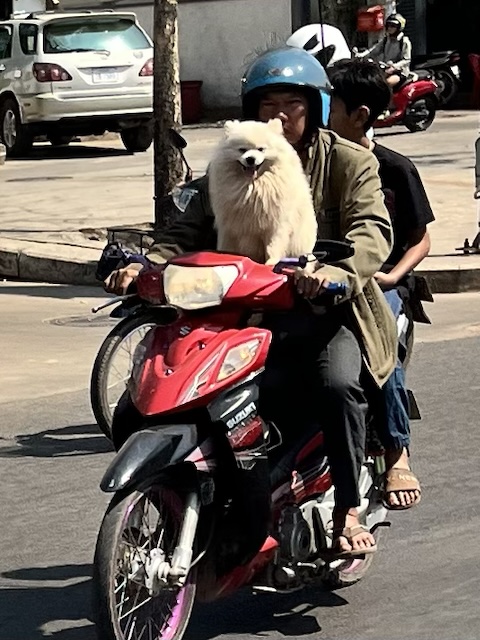 2026-02-01_11-20-27_Valerie_E7097