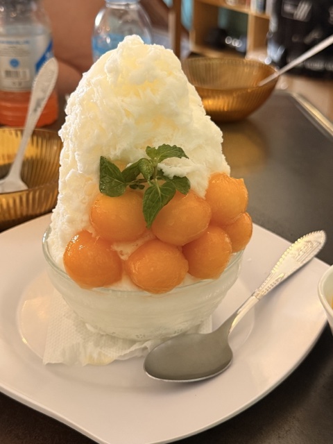 2026-02-01_12-31-54_Sharon_3993