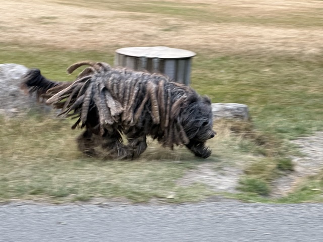 2026-08-14_19-22-49_DRW_4163