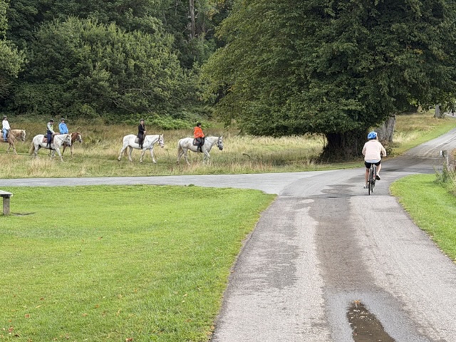 2026-08-18_09-02-23_DRW_5077